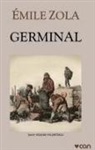 Emile Zola - Germinal