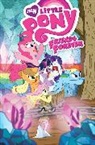 Ted Anderson, Tony Fleecs, Agnes Garbowska, Brenda Hickey, Christina Rice, Tony Fleecs... - My Little Pony: Friends Forever Volume 8