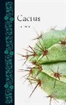 Dan Torre, Torre Dan - Cactus
