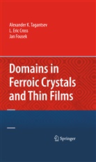 L Eri Cross, L Eric Cross, L. Eric Cross, Jan Fousek, Alexande Tagantsev, Alexander Tagantsev... - Domains in Ferroic Crystals and Thin Films