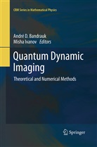 Andr D. Bandrauk, Andre D Bandrauk, Andre D. Bandrauk, André D. Bandrauk, Andr D Bandrauk, Andre D Bandrauk... - Quantum Dynamic Imaging