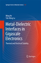 Min He, Ming He, Toh-Ming Lu - Metal-Dielectric Interfaces in Gigascale Electronics