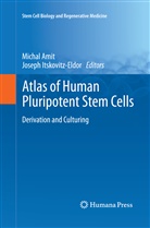 Micha Amit, Michal Amit, Itskovitz-Eldor, Itskovitz-Eldor, Joseph Itskovitz-Eldor - Atlas of Human Pluripotent Stem Cells
