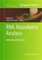 Gassmann, Gassmann, Walter Gassmann, Hailin Jin, Hailing Jin - RNA Abundance Analysis