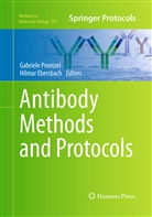 Ebersbach, Ebersbach, Hilmar Ebersbach, Gabriel Proetzel, Gabriele Proetzel - Antibody Methods and Protocols