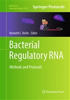 Kennet C Keiler, Kenneth C Keiler, Kenneth C. Keiler - Bacterial Regulatory RNA