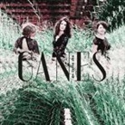 Ganes - An cunta che, 1 Audio-CD (Livre audio)