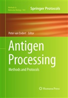 Peter van Endert, Pete van Endert, Peter van Endert - Antigen Processing