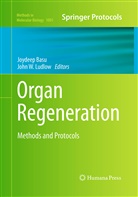joydee basu, Joydeep Basu, John W Ludlow, John W. Ludlow, W Ludlow, W Ludlow - Organ Regeneration