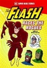 Matthew K Manning, Matthew K. Manning, Ethen Beavers - The Flash Races the Rogues