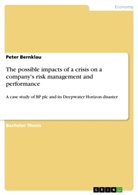 Peter Bernklau - The possible impacts of a crisis on a company's risk management and performance