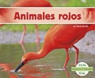 Teddy Borth - Animales Rojos