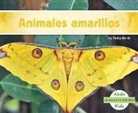 Teddy Borth - Animales Amarillos