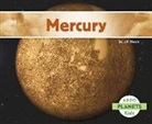 J P Bloom, J. P. Bloom - Mercury