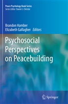 Gallagher, Gallagher, Elizabeth Gallagher, Brando Hamber, Brandon Hamber - Psychosocial Perspectives on Peacebuilding