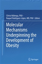 Clevio Nobrega, PhD Nobrega, Clévi Nóbrega, Clévio Nóbrega, PhD Rodriguez-Lopez, Raquel Rodriguez-Lopez... - Molecular Mechanisms Underpinning the Development of Obesity
