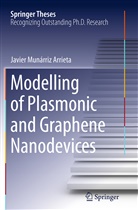 Javier Munárriz Arrieta - Modelling of Plasmonic and Graphene Nanodevices