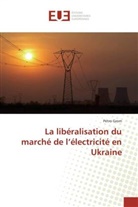 Petro Grom - La libéralisation du marché de l'électricité en Ukraine