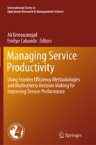 Cabanda, Cabanda, Emilyn Cabanda, Al Emrouznejad, Ali Emrouznejad, Malcolm Horne Horne - Managing Service Productivity