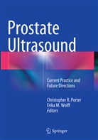 M Wolff, M Wolff, Christopher R. Porter, Christophe R Porter, Christopher R Porter, Erika Wolff... - Prostate Ultrasound