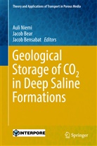Jaco Bear, Jacob Bear, Jacob Bensabat, Auli Niemi - Geological Storage of CO2 in Deep Saline Formations
