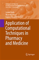 Leonid Gorb, Victo Kuz'min, Victor Kuz'min, Eugene Muratov - Application of Computational Techniques in Pharmacy and Medicine