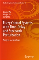 Peng Shi, Xiaoji Su, Xiaojie Su, Ligan Wu, Ligang Wu - Fuzzy Control Systems with Time-Delay and Stochastic Perturbation