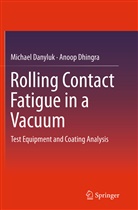 Michae Danyluk, Michael Danyluk, Anoop Dhingra - Rolling Contact Fatigue in a Vacuum