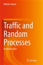 Raffaele Mauro - Traffic and Random Processes