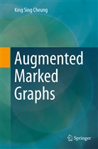 King Sing Cheung - Augmented Marked Graphs