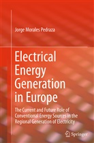 Jorge Morales Pedraza - Electrical Energy Generation in Europe