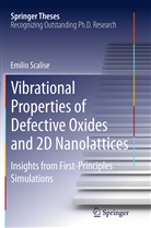 Emilio Scalise - Vibrational Properties of Defective Oxides and 2D Nanolattices