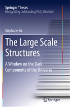 Stéphane Ilic, Stéphane Ilić - The Large Scale Structures