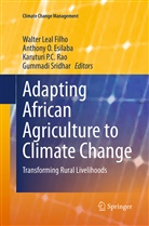 Anthony O. Esilaba, Walter Leal Filho, Anthon O Esilaba, Anthony O Esilaba, Karuturi P C Rao et al, Karuturi P. C. Rao... - Adapting African Agriculture to Climate Change