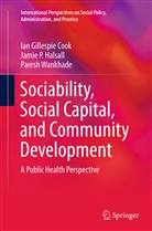 Ian Gillespi Cook, Ian Gillespie Cook, Jamie Halsall, Jamie P Halsall, Jamie P. Halsall, Par Wankhade... - Sociability, Social Capital, and Community Development