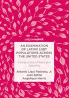 Jua Battle, Juan Battle, Juan Harris Battle, An Harris, Angelique Harris, Antonio Pastrana... - Examination of Latinx Lgbt Populations Across the United States