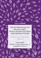 Jua Battle, Juan Battle, Juan Harris Battle, An Harris, Angelique Harris, Antonio Pastrana... - Examination of Black Lgbt Populations Across the United States