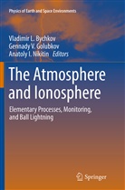 Academy of Sciences, Vladimir L. Bychkov, Gennady V. Golubkov, Anatoly I Nikitin, Vladimir L Bychkov, Anatoly I. Nikitin... - The Atmosphere and Ionosphere