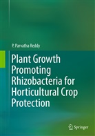 P Parvatha Reddy, P. Parvatha Reddy - Plant Growth Promoting Rhizobacteria for Horticultural Crop Protection