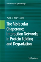 Wali A Houry, Walid A Houry, Walid A. Houry - The Molecular Chaperones Interaction Networks in Protein Folding and Degradation