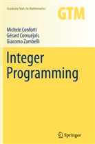 Michel Conforti, Michele Conforti, Gerard Cornuejols, Gérar Cornuéjols, Gérard Cornuéjols, Gia Zambelli... - Integer Programming