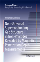 Kenichiro Hashimoto - Non-Universal Superconducting Gap Structure in Iron-Pnictides Revealed by Magnetic Penetration Depth Measurements