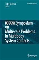 Pete Eberhard, Peter Eberhard - IUTAM Symposium on Multiscale Problems in Multibody System Contacts