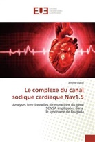 Jérôme Clatot - Le complexe du canal sodique cardiaque Nav1.5