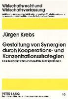 Jürgen Krebs - Gestaltung von Synergien durch Kooperations- und Konzentrationsstrategien
