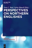 Joan C Beal, Joan C. Beal, C Beal, C Beal, Sylvi Hancil, Sylvie Hancil - Perspectives on Northern Englishes