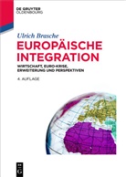 Ulrich Brasche - Europäische Integration