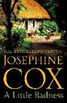 Josephine Cox, Cox Josephine - A Little Badness