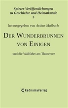 Arthur Maibach, Arthur Maibach - Der Wunderbrunnen von Einigen