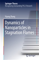 Yiyang Zhang - Dynamics of Nanoparticles in Stagnation Flames